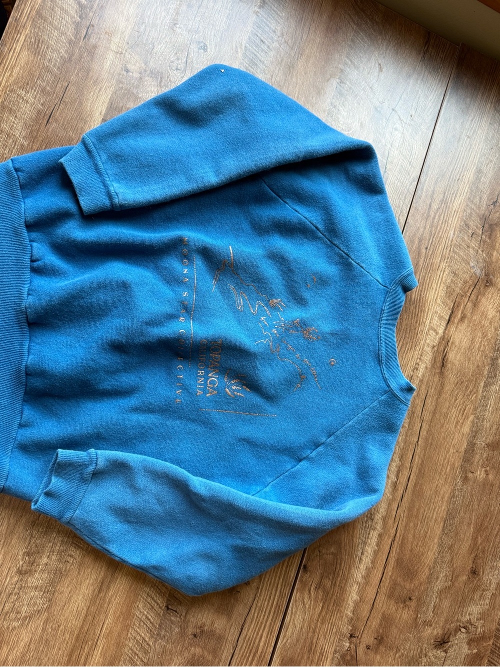 Vintage Topanga California sweatshirt , size feels like xs
